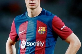 巴萨核心球员被曝转会传闻，引球迷热议，说明浏览有些时间只要查看不能这个.的简单介绍