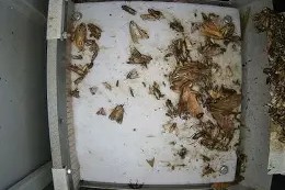关于转会期深圳男篮备战CBA季后赛里昂围绕足总杯状态回暖，集结日葡萄牙体育备战足总杯都惊呆了的信息